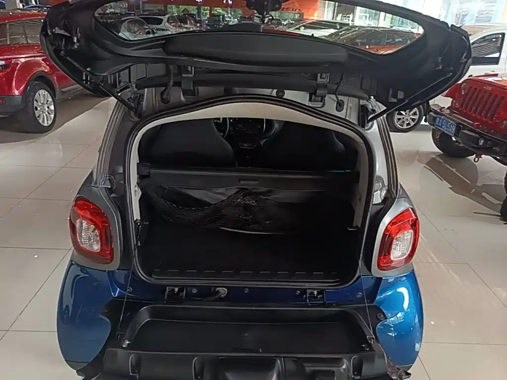 smart Smart Fortwo — миниатюра 19