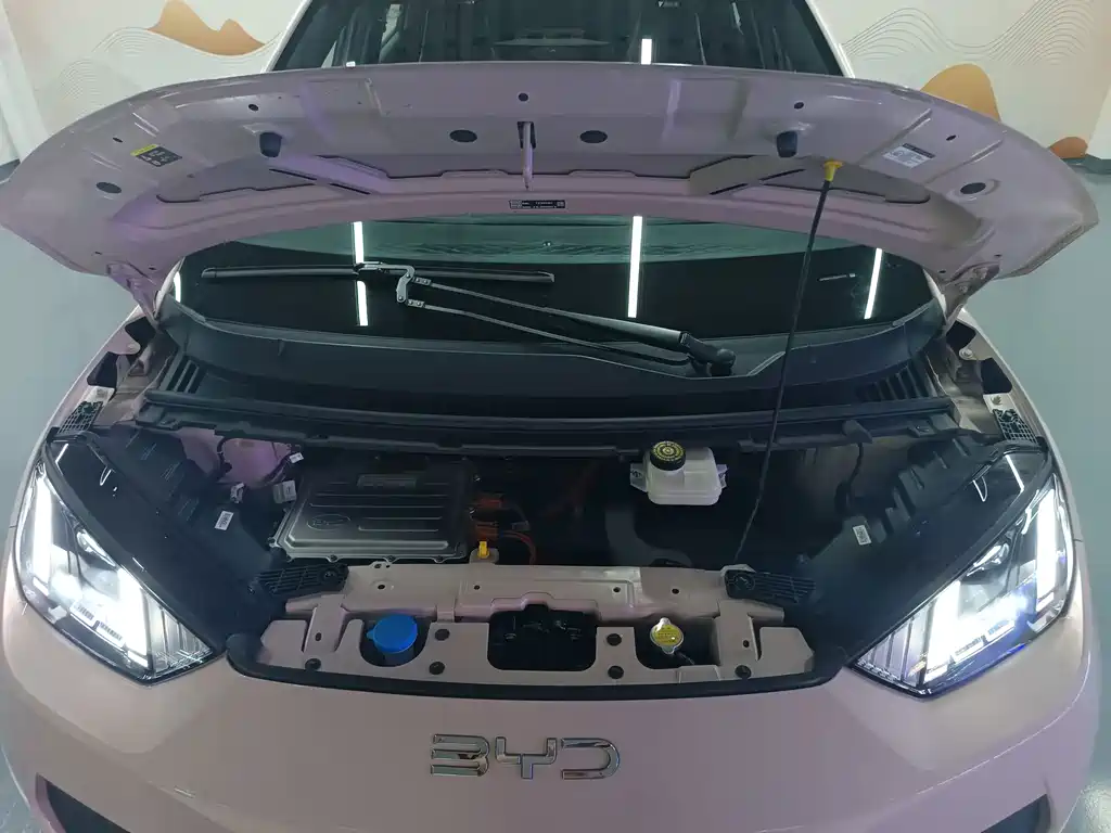 BYD Seagull — миниатюра 5