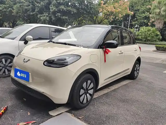 WULING AUTOMOBILE WULING BINGGUO 2025