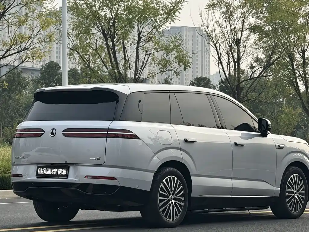 Denza Denza N8L — миниатюра 9