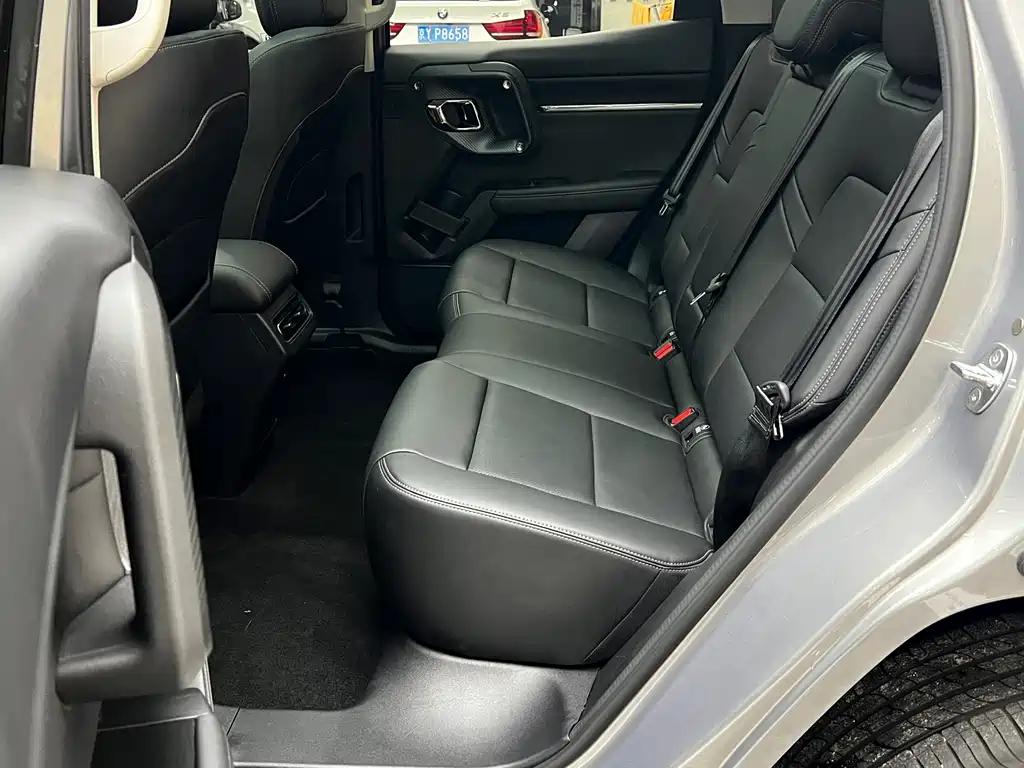 Haval Big Dog PLUS — миниатюра 19