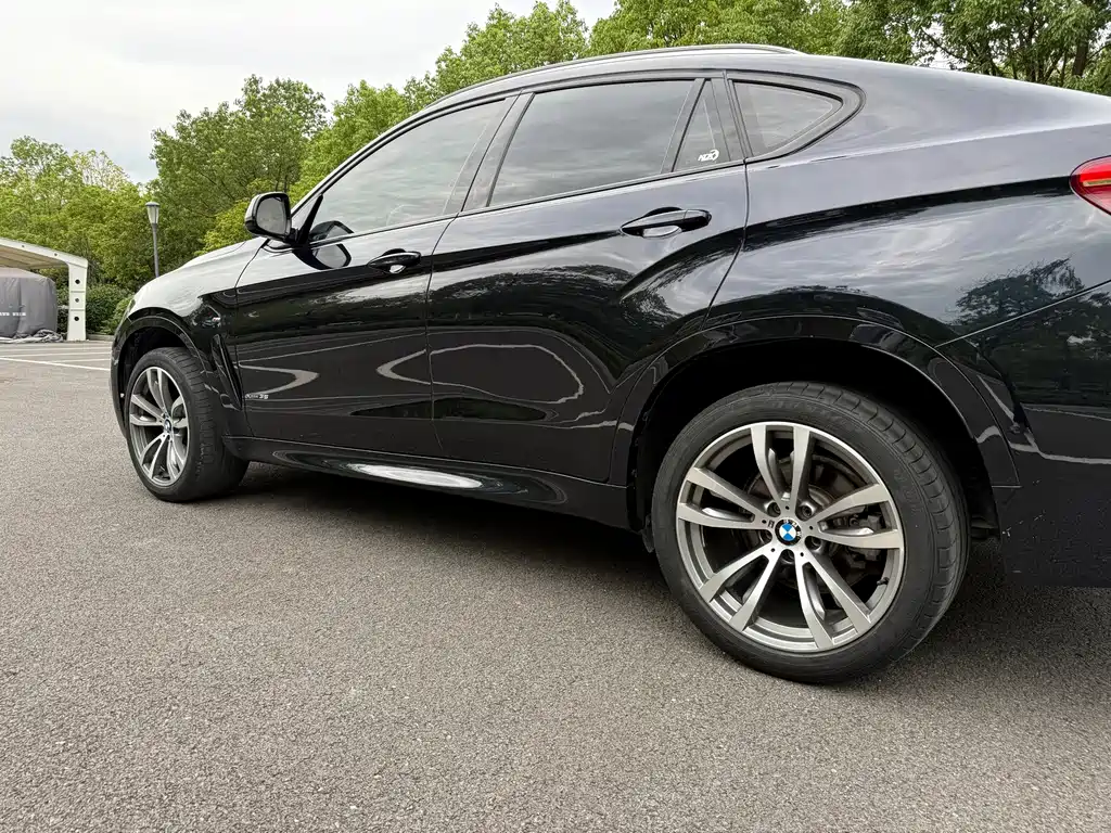 BMW X6 — миниатюра 6