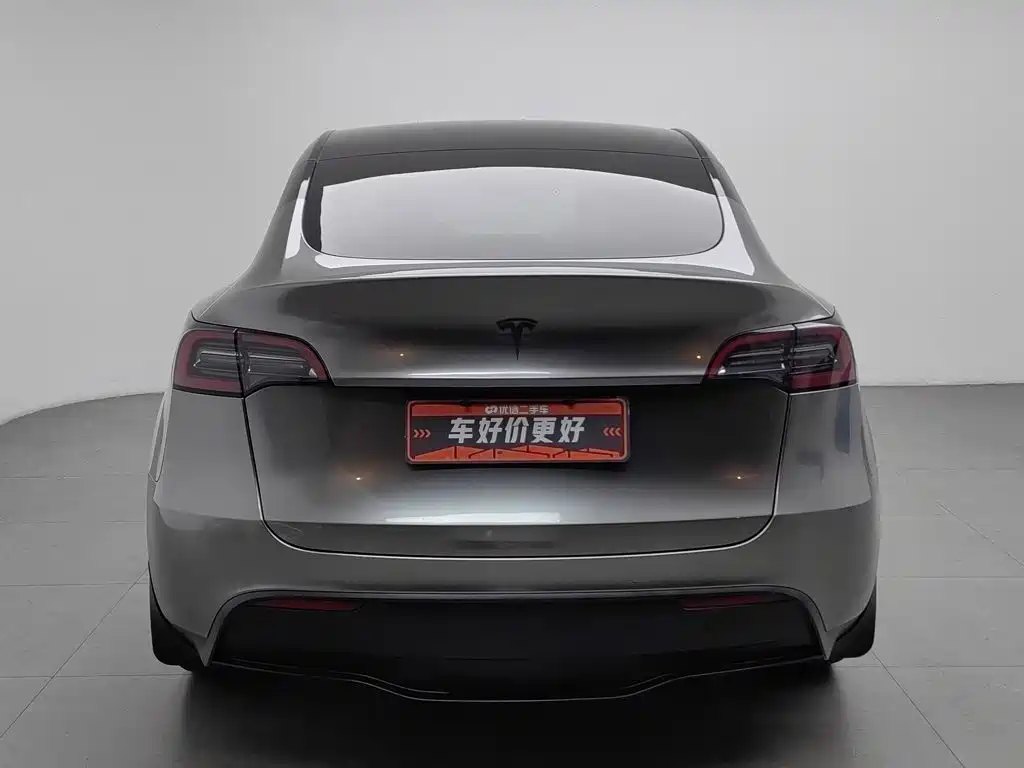 Tesla Model Y — миниатюра 4
