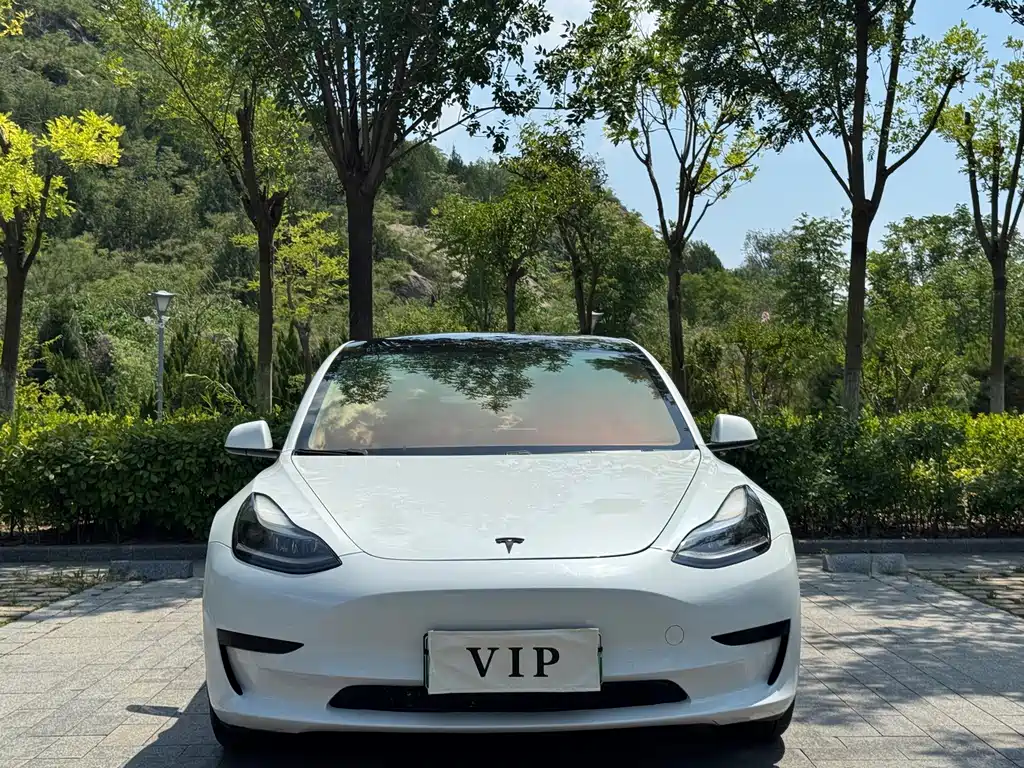 Tesla Model 3 — миниатюра 2