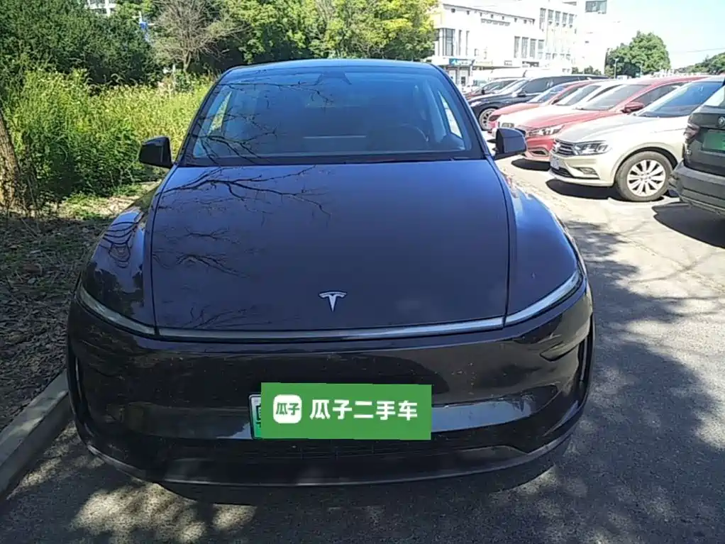 Tesla Model Y — миниатюра 3