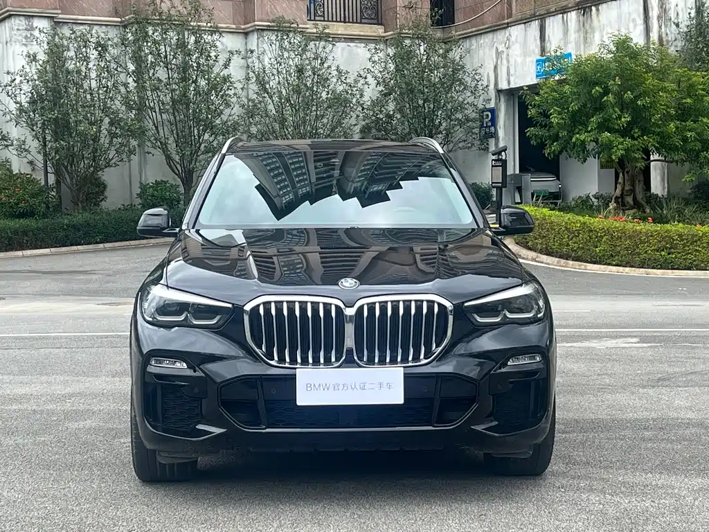 BMW X5 (Import) — миниатюра 2