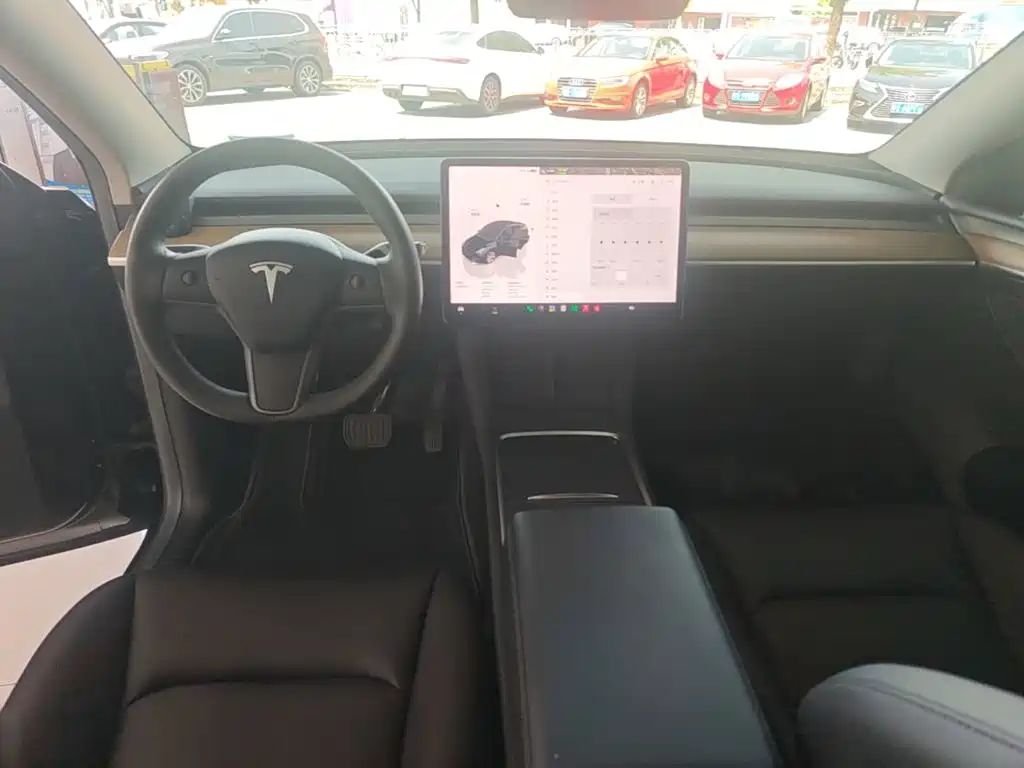 Tesla Model Y — миниатюра 10