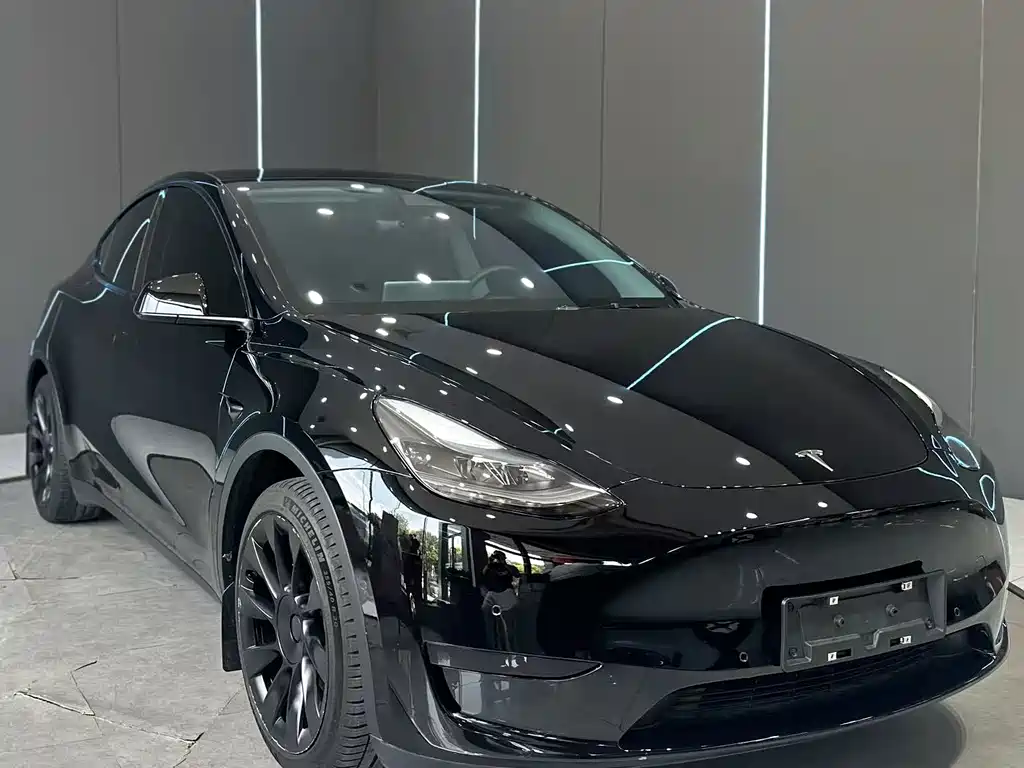 Tesla Model Y — миниатюра 3