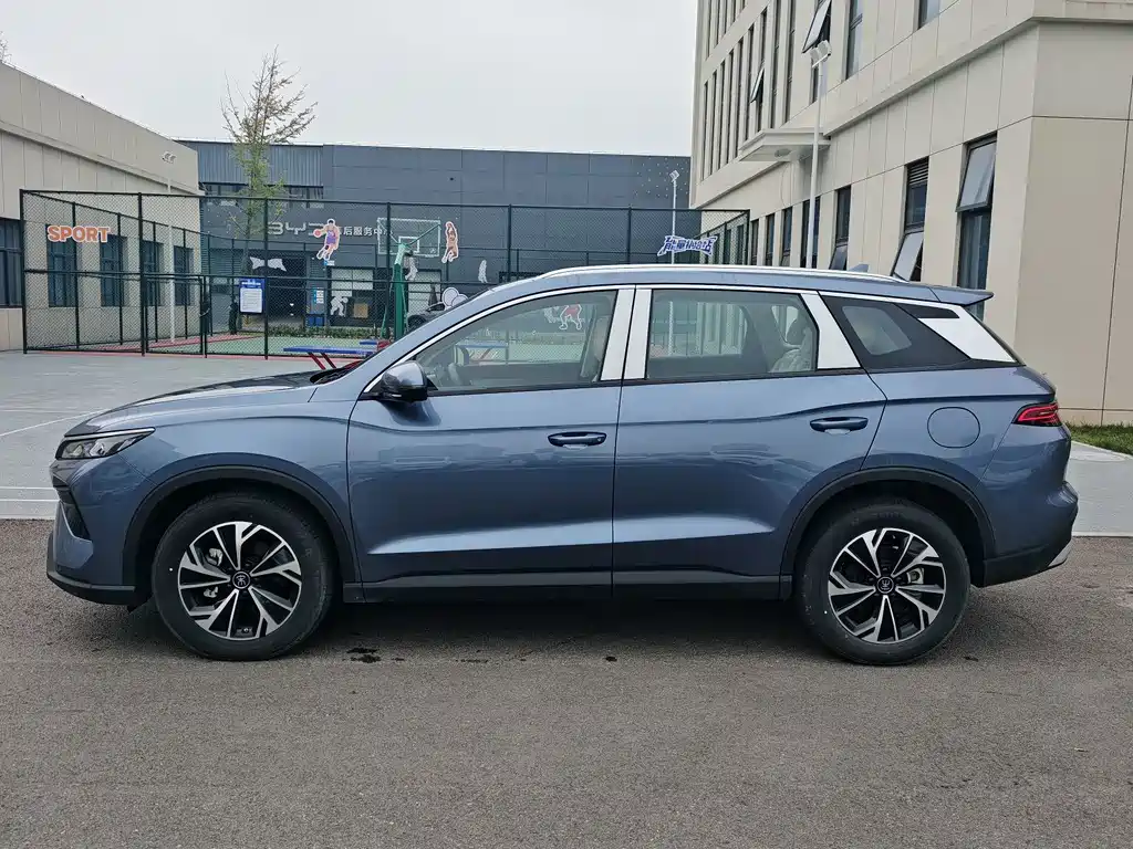 BYD Pro New Energy - фото 6