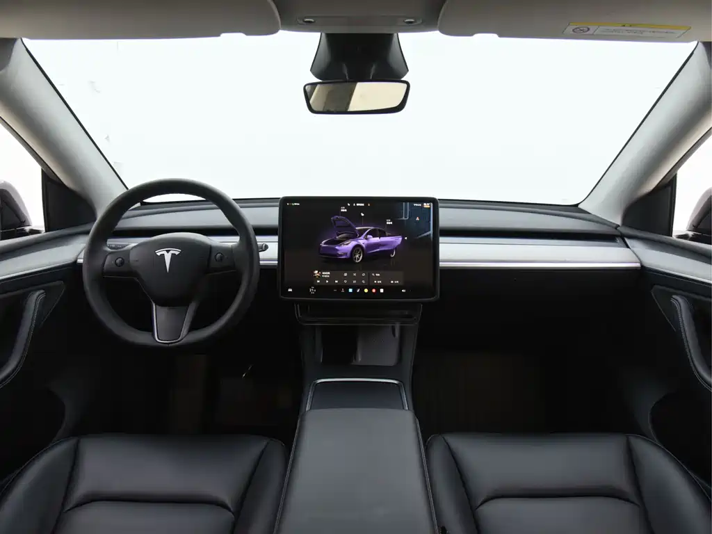 Tesla Model Y — миниатюра 17