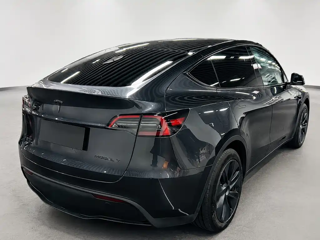 Tesla Model Y — миниатюра 7