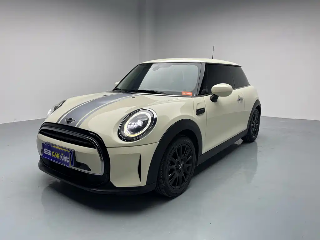 Mini Mini 2021