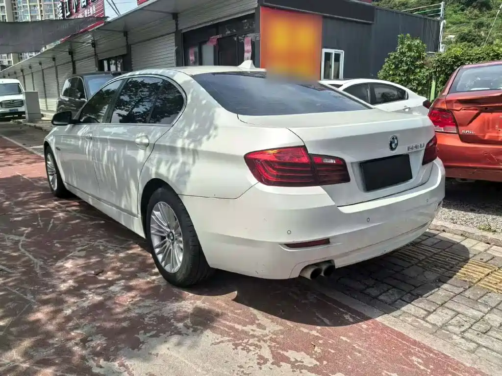 BMW 5 Series 5 2014 525Li Lead