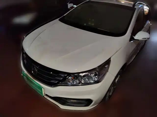 BAOJUN  310 2018
