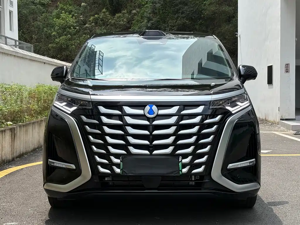 Denza Denza D9 — миниатюра 2
