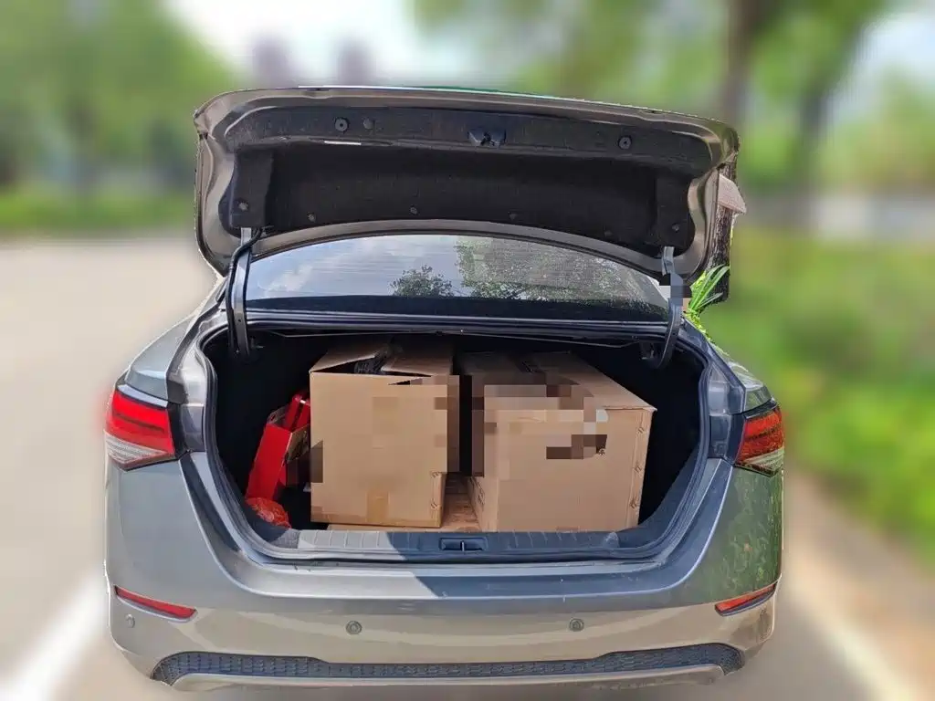 Nissan Sylphy — миниатюра 20