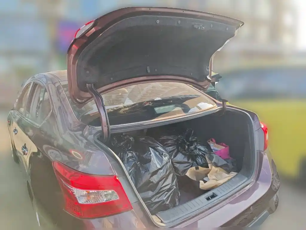 Nissan Sylphy — миниатюра 20