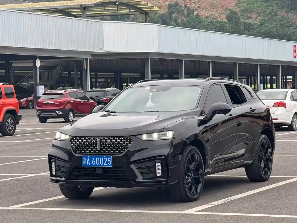 WEI PAI WEI BRAND VV7