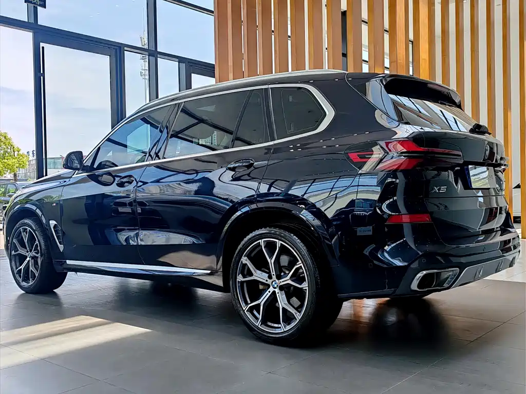 BMW X5 2023 xDrive 30Li Premium M Sport