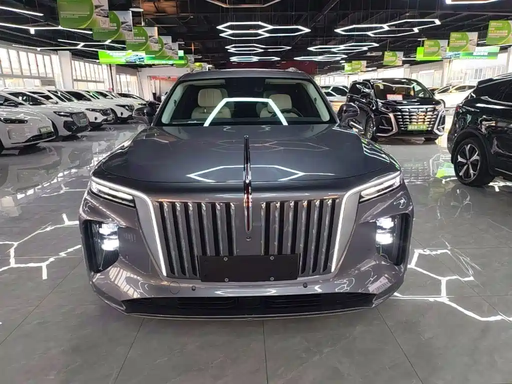 Hongqi Hongqi E-HS9 — миниатюра 3