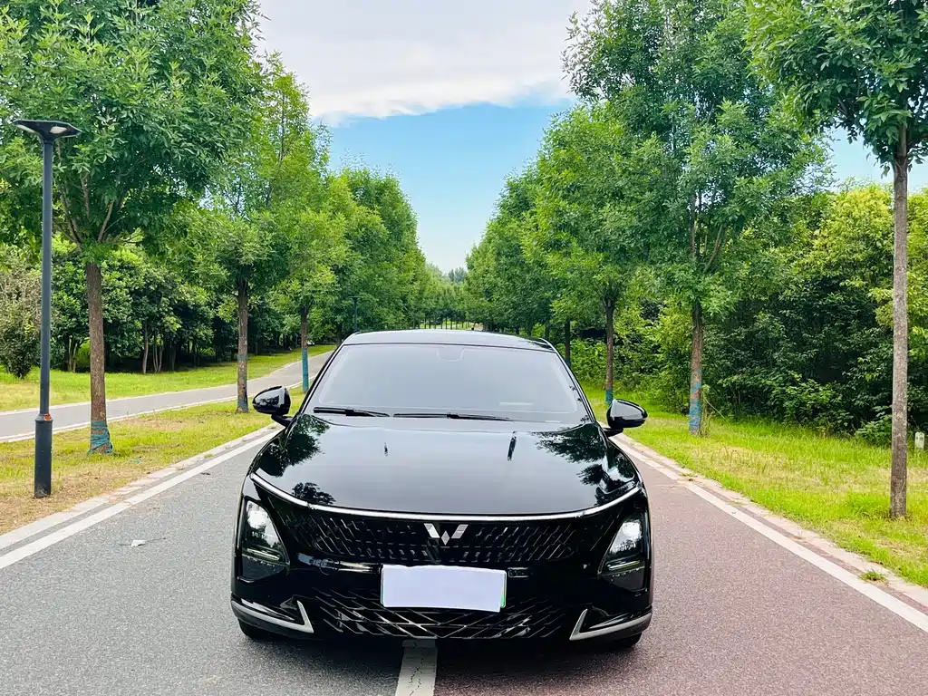 Wuling Xingguang — миниатюра 2