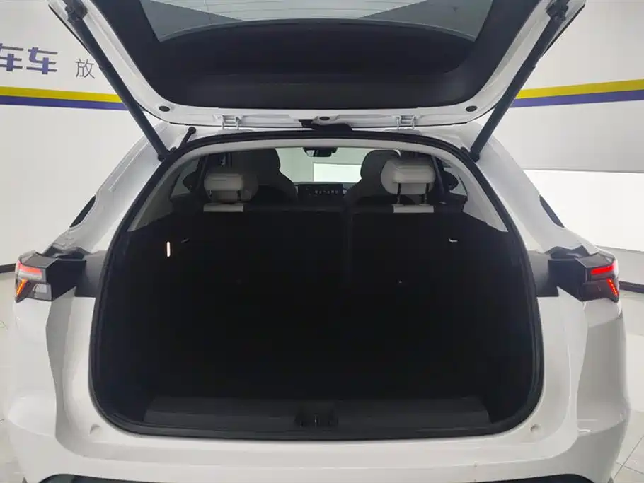 ARCFOX EXTREME FOX POLAR FOX ALPHA T5