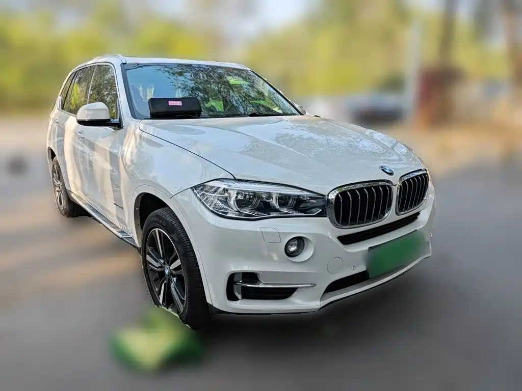 BMW X5 (Import) — миниатюра 3