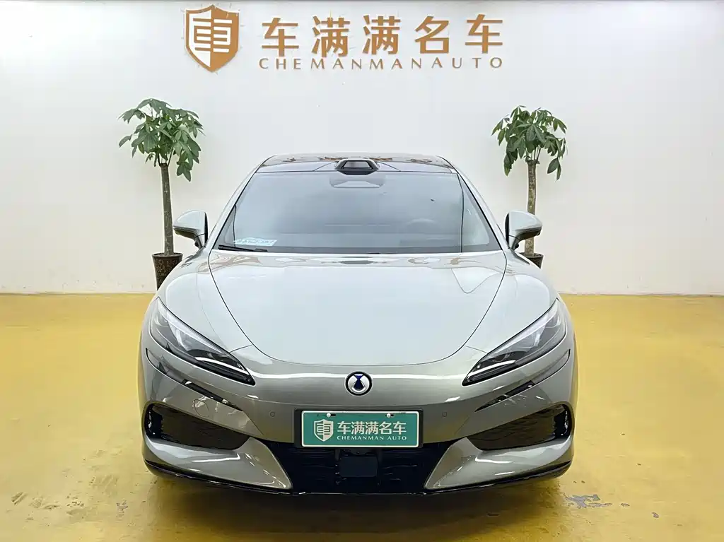 Denza Z9GT