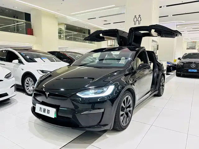 TESLA MODEL X 2023