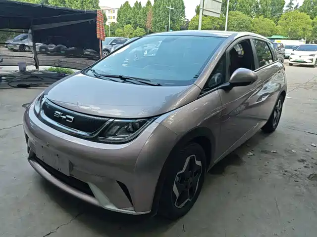 2022 BYD Dolphin
