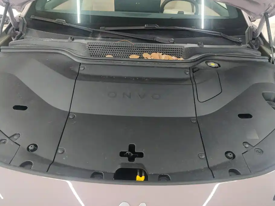 Onvo L60 2025 60kWh