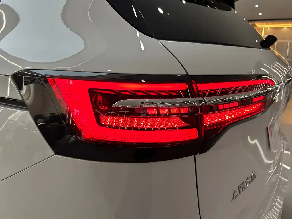 Volkswagen Viloran — миниатюра 42