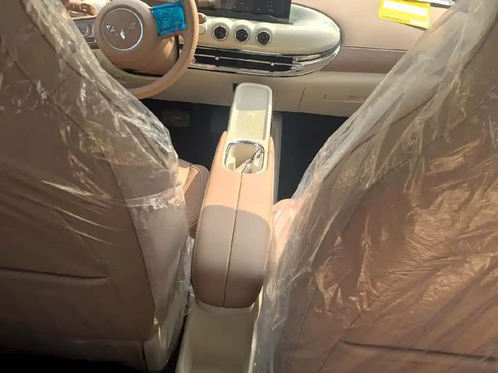 Wuling Binguo 2025 333km Enjoy