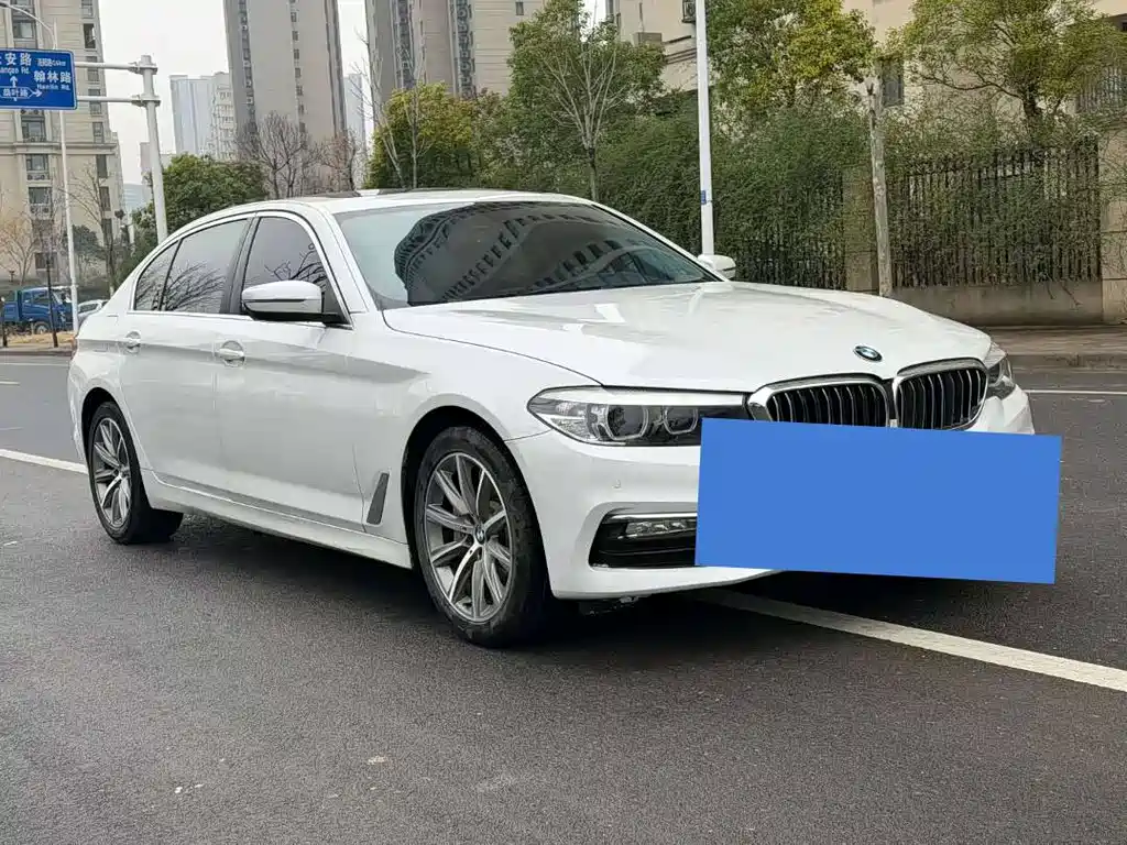 BMW 5 Series 5 2018 528Li
