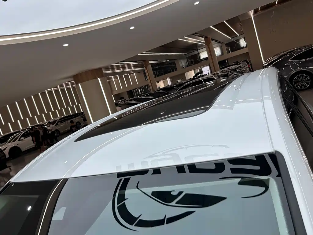 Volkswagen Viloran — миниатюра 44