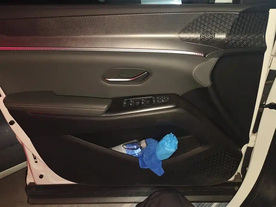 BYD SONGJIANG NEW ENERGY