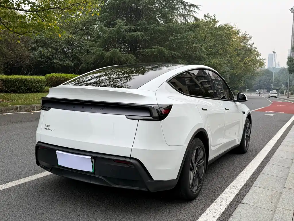 Tesla Model Y — миниатюра 6