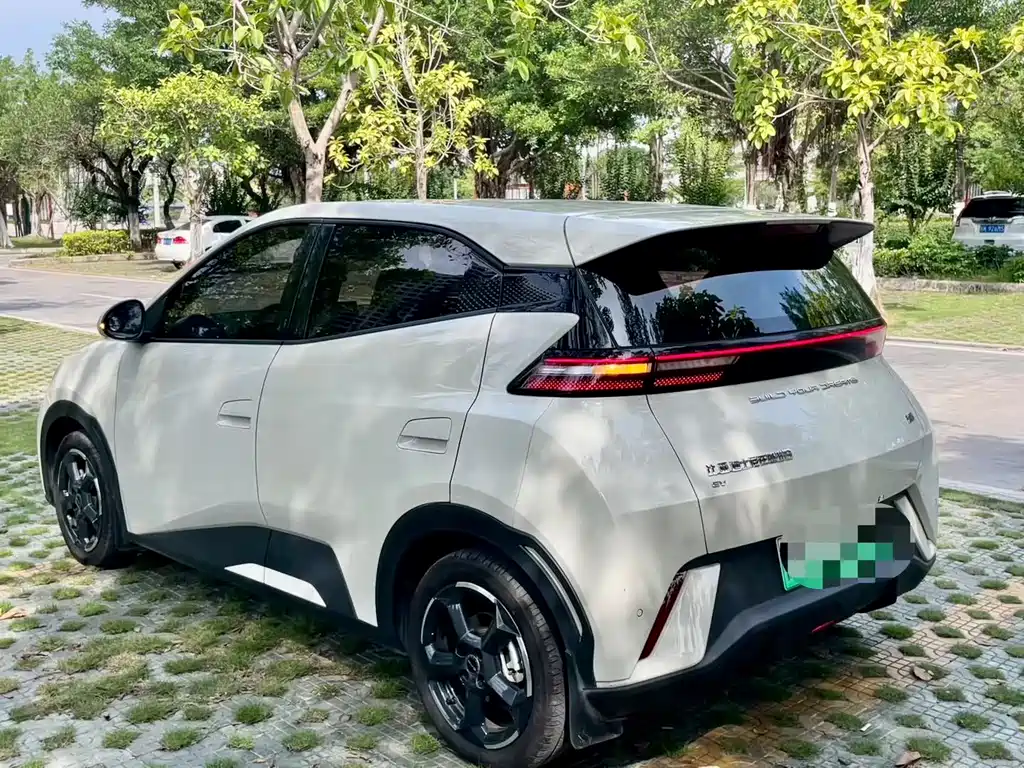 BYD Seagull 2024 305km Freedom