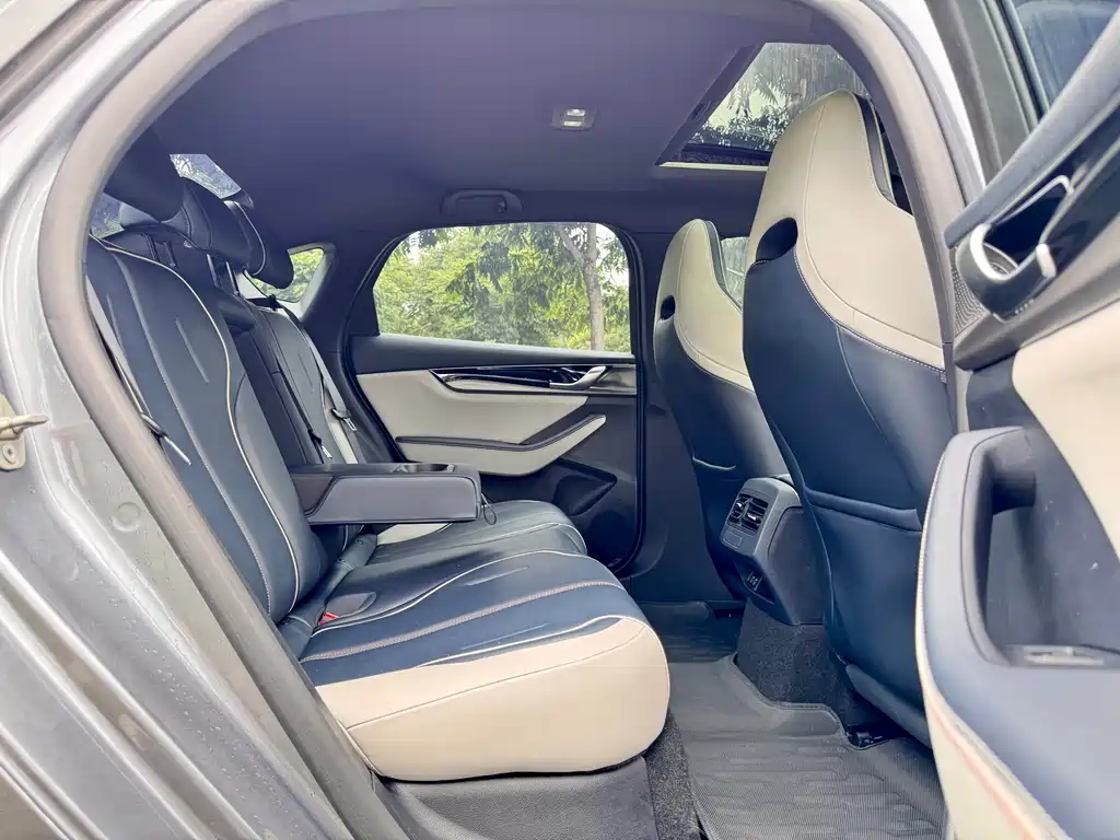 BYD Qin Plus PLUS 2021 DM-i 55KM Flagship