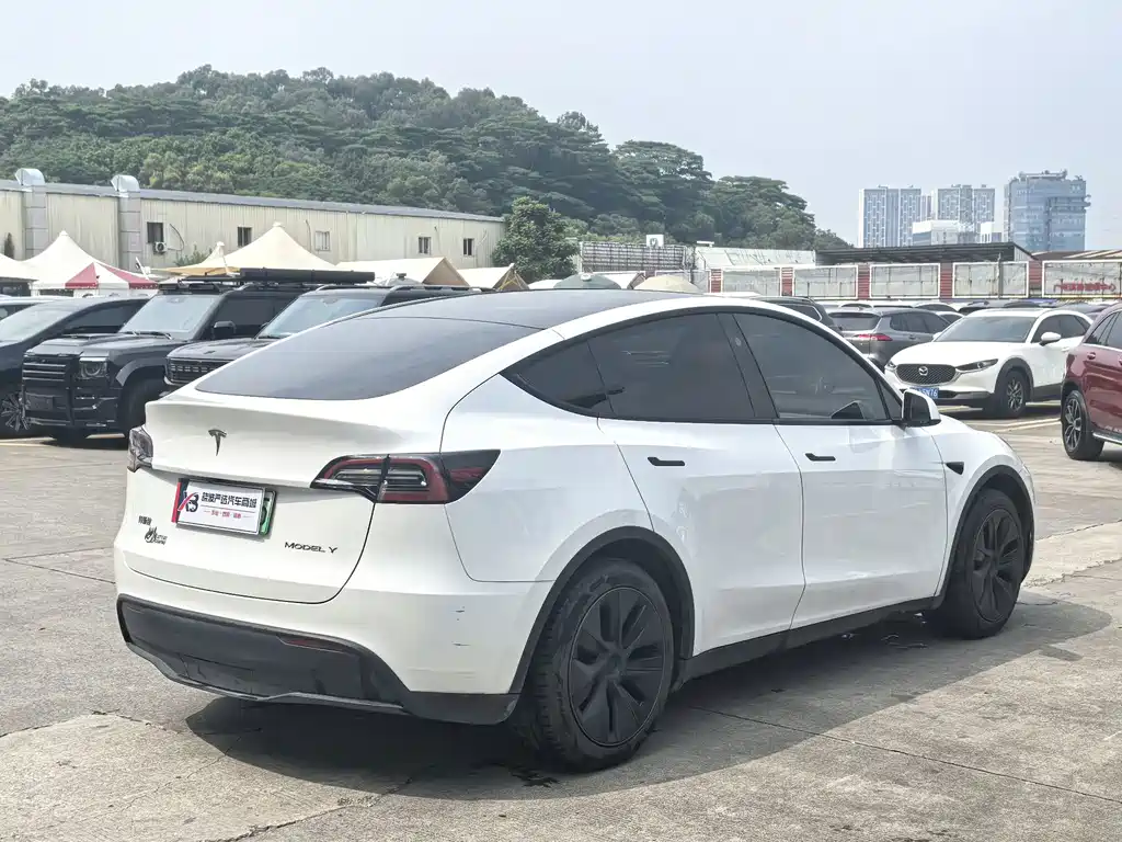 Tesla Model Y — миниатюра 8
