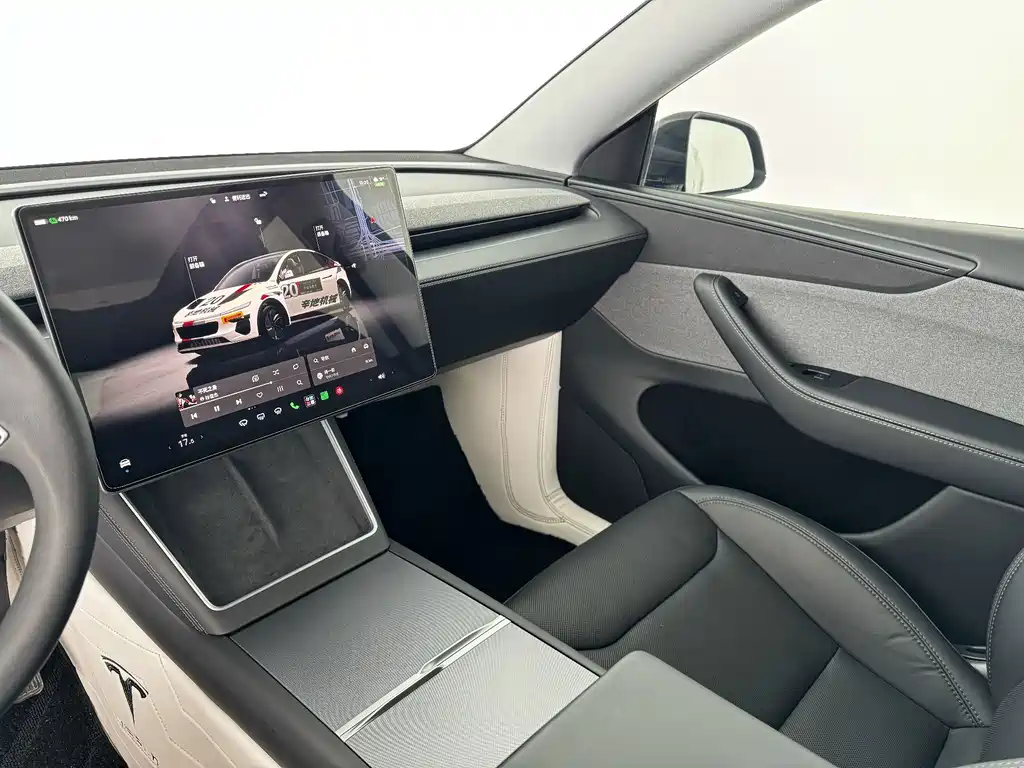 Tesla Model Y — миниатюра 11