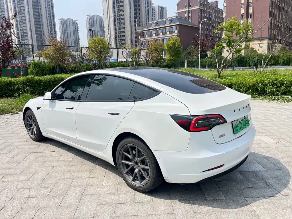 Tesla Model 3 2021 3D6