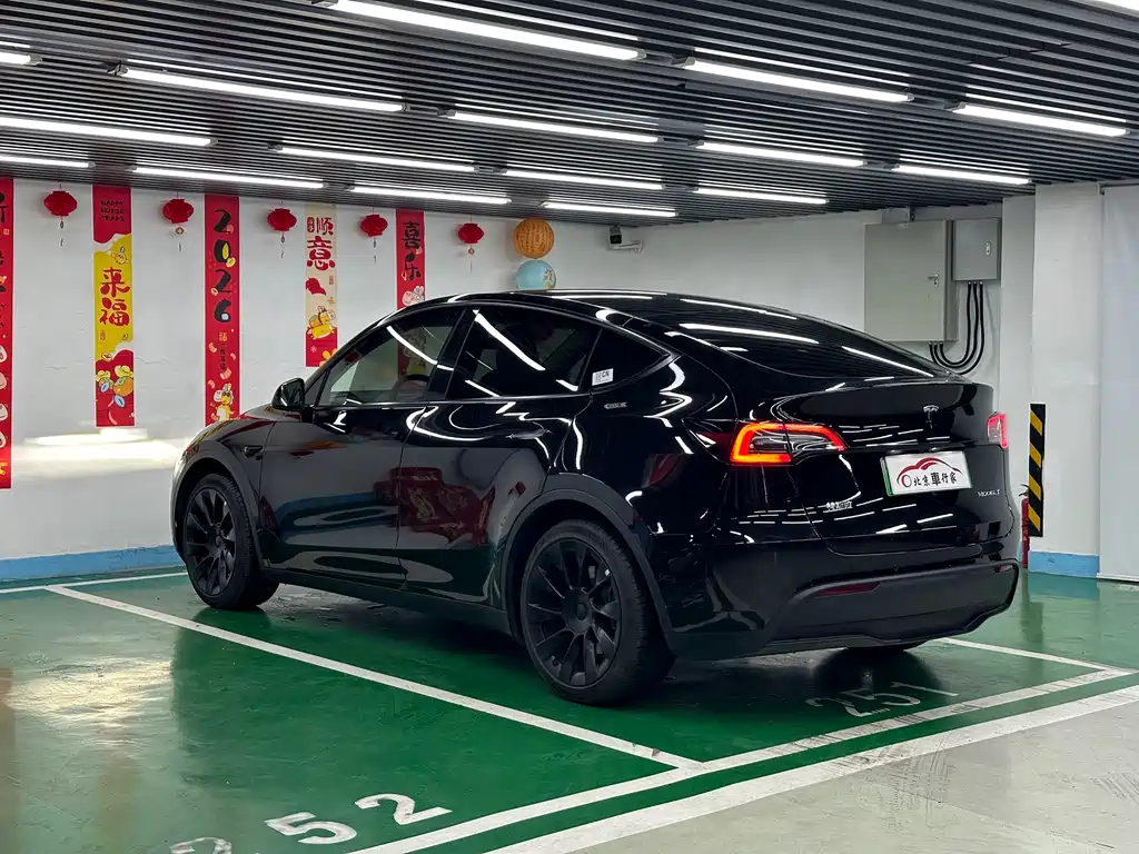 Tesla Model Y — миниатюра 7