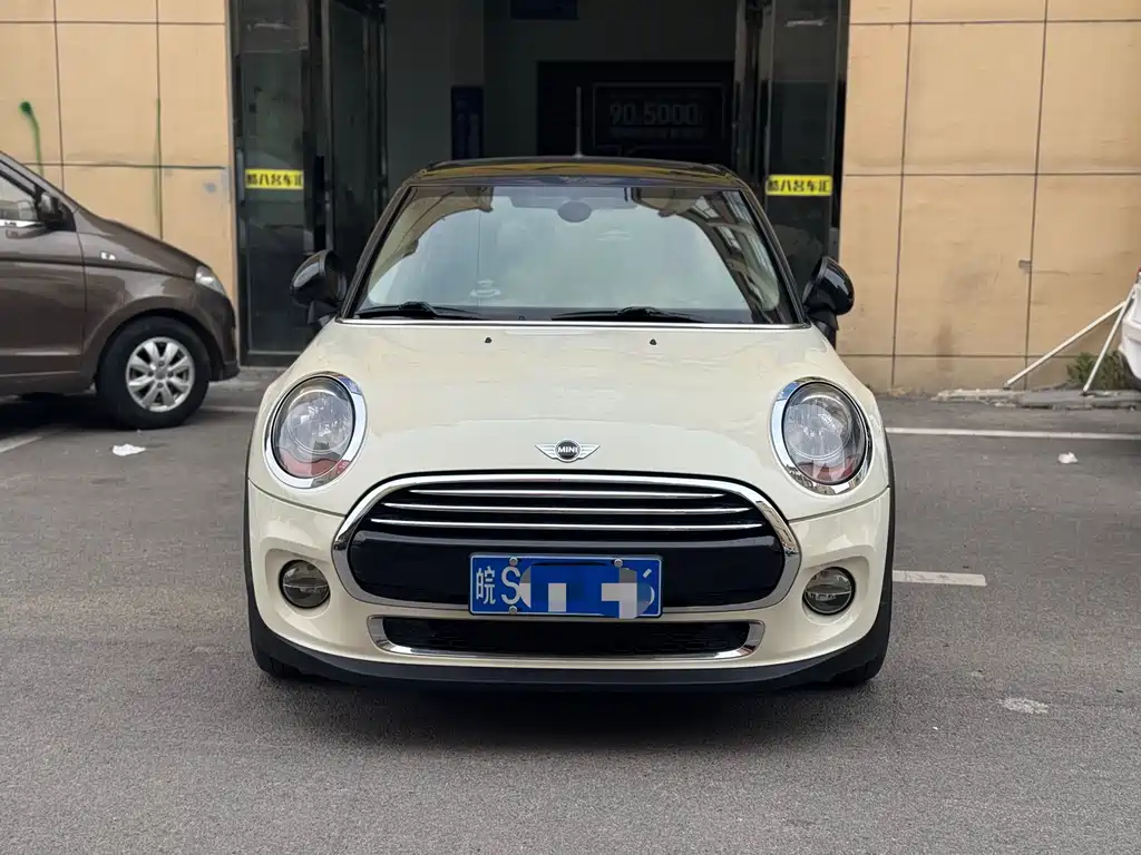 Mini Mini 2015