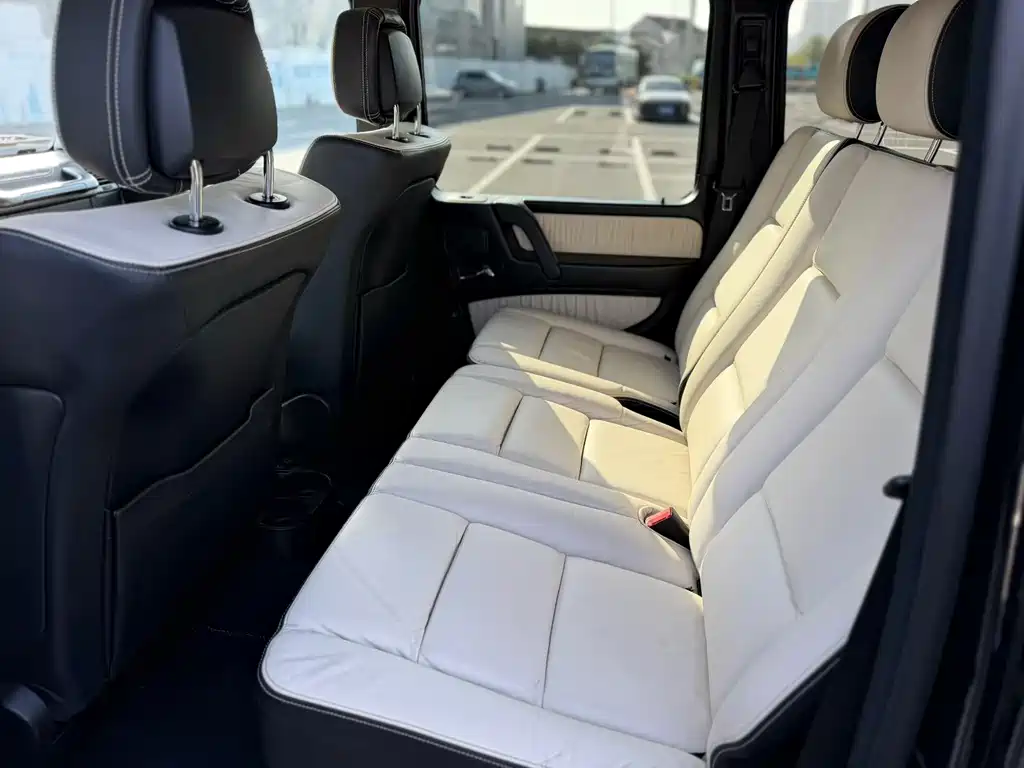 Mercedes-Benz G-Class G 2010 G 500