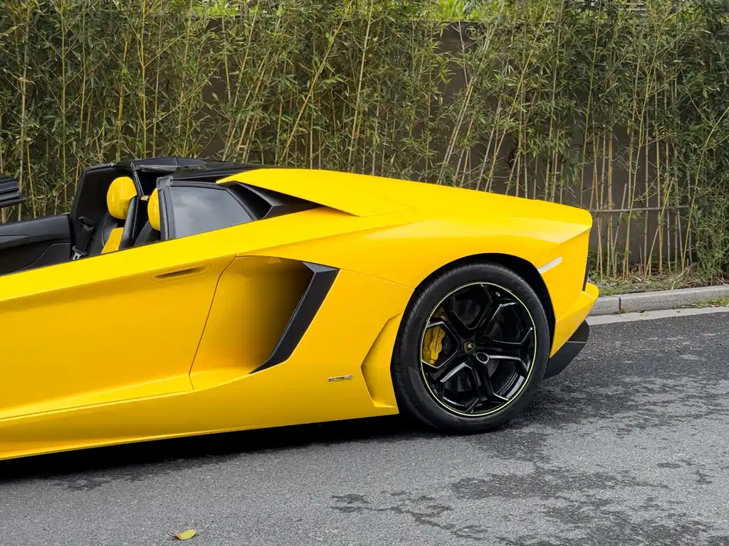 Lamborghini Aventador 2013 LP 700-4 Roadster