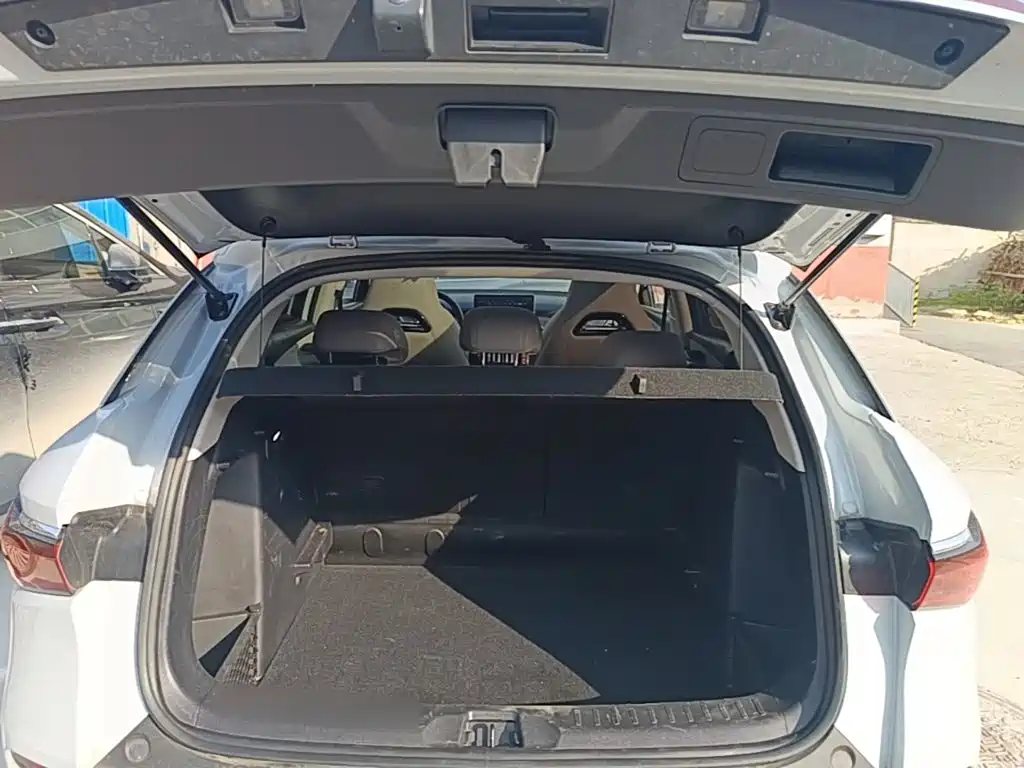 BYD Yuan Plus — миниатюра 19