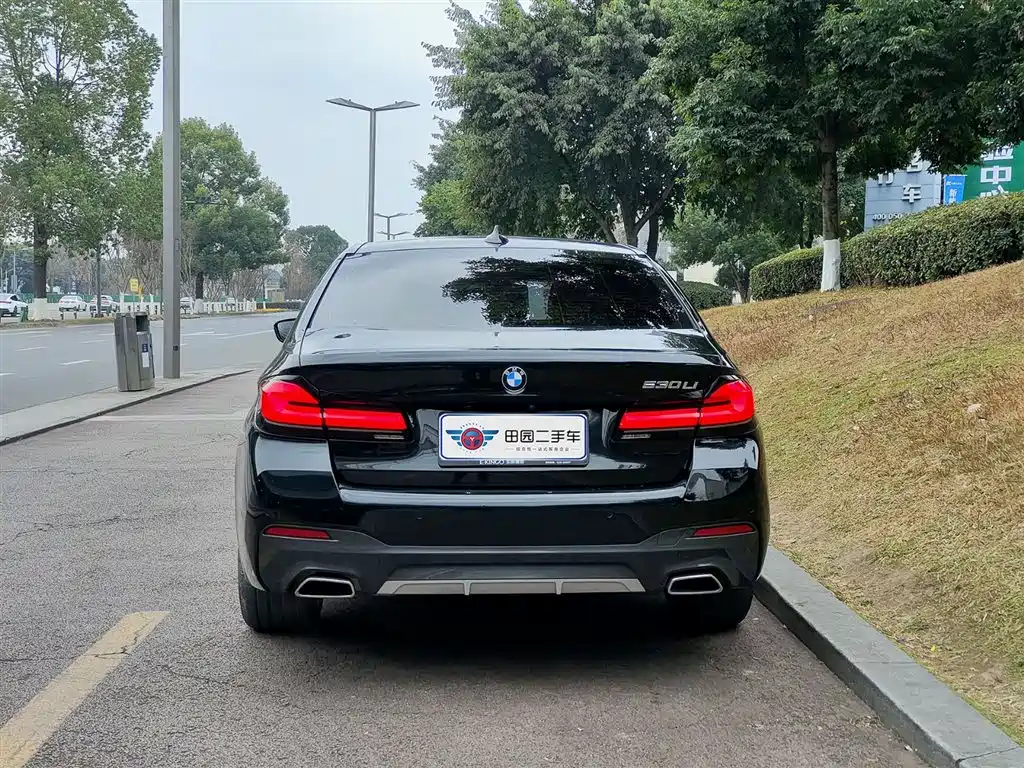 BMW 5 SERIES