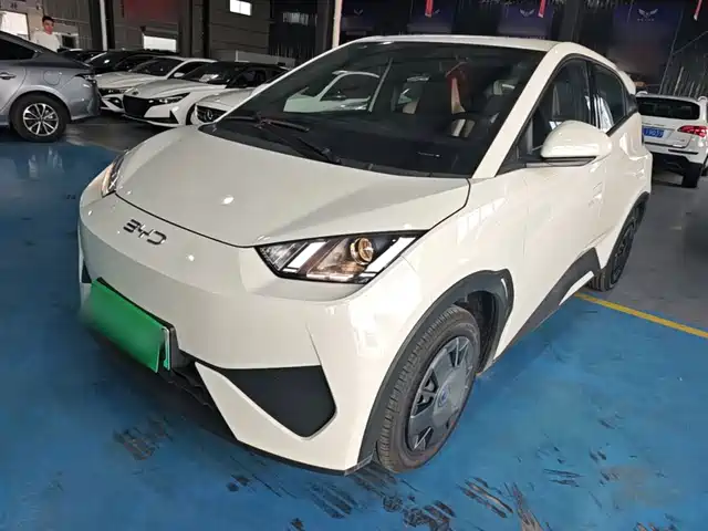 2026 BYD Seagull