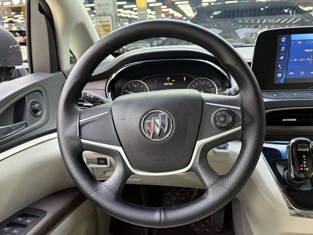 Buick GL8 — миниатюра 10